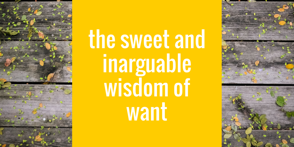 sweet and inarguable wisdom of want blog post by jeanette leblanc