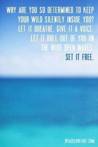 set your wild free quote by Jeanette LeBlanc