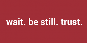 wait. be still. trust: a poem by Jeanette LeBlanc