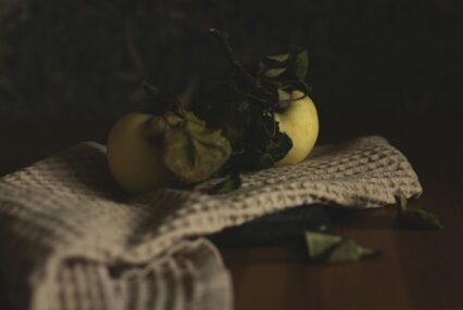 Quince resting on folded cloth in warm low light