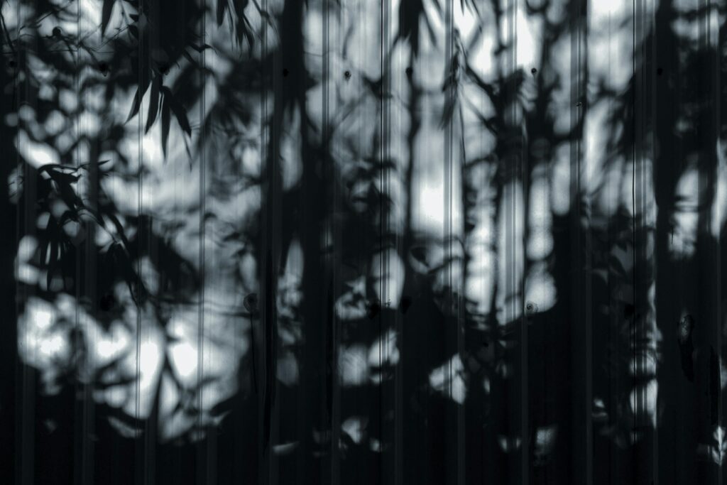Shadows of branches falling across a wall in low light